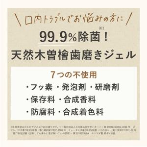 【送料無料】大容量 木曽檜歯磨きジェル 300...の詳細画像1