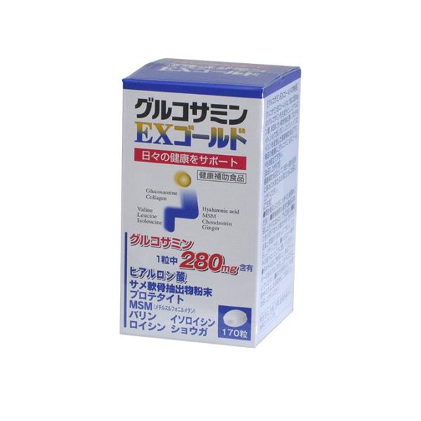 グルコサミンＥＸゴールド　１個賞味期限2026年12月