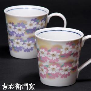 九谷焼 カップ＆ソーサー 山帰来 / 平野由佳 和食器 コーヒーカップ
