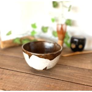 九谷焼 高級 陶磁器 抹茶碗 しだれ桜 中絵 （Kutani matcha bowl