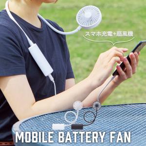 ダイソン ファンヒーター ホットアンドクール AM05 IB(アイアン