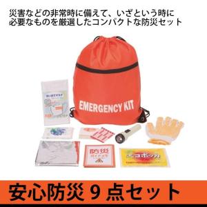 防災セット 9点セット 安全防災201 防災袋 非常用持ち出...