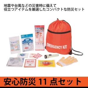 防災セット 11点セット 安全防災251 防災袋 非常用持ち...