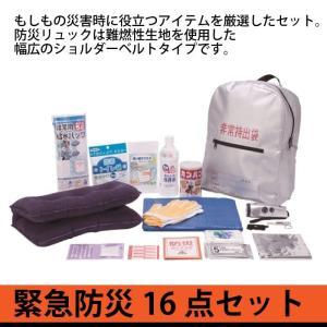 防災セット 16点セット 緊急防災800 防災袋 非常用持ち...