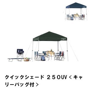 テント タープ 日よけ サンシェード BBQ 幅250 奥行250 高さ257-239 グリーン アウトドア 防水 UV 紫外線 キャリーバッグ付｜kutsurogu