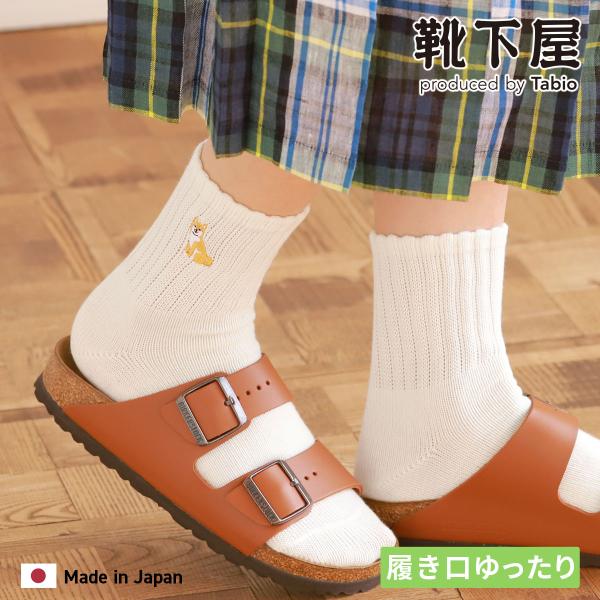 レディース 靴下 靴下屋 犬 刺繍 アメリブ ショートソックス タビオ 日本製