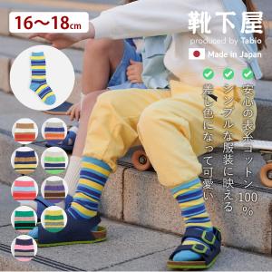 靴下屋 キッズ 靴下 マルチ ボーダー ソックス 19〜21cm タビオ 日本製