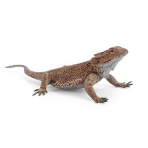 フトアゴヒゲトカゲフィギュア（フィギュア）の商品一覧 - KuuneruDou 000883