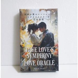 英語版『Talking to Heaven Mediumship Cards トーキングトゥヘブン