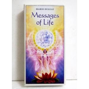 英語版『Talking to Heaven Mediumship Cards トーキングトゥヘブン