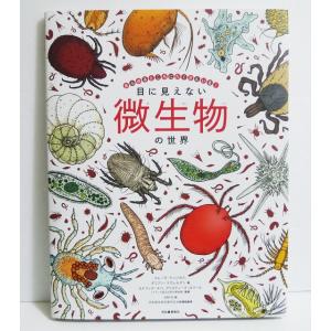『目に見えない微生物の世界: あらゆるところにたくさんいる!』