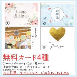 お中元 2026 ティラミス コーヒー 珈琲 ...の詳細画像3