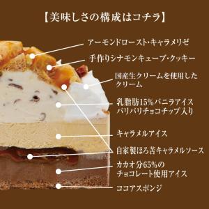 チョコ チョコレート ケーキ アイスケーキ 誕...の詳細画像2