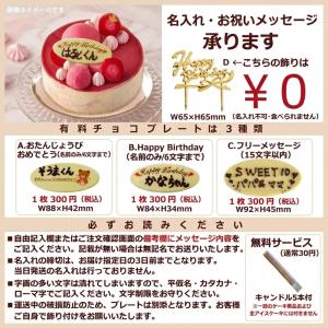 チョコ チョコレート ケーキ アイスケーキ 誕...の詳細画像4