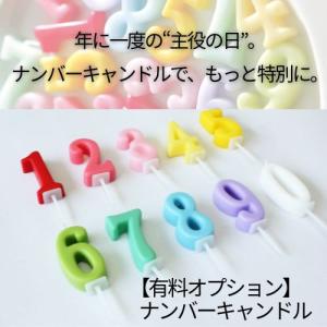 チョコ チョコレート ケーキ アイスケーキ 誕...の詳細画像5
