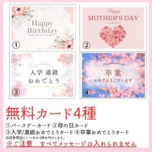 アイスケーキ ベリー ストロベリー チーズ パ...の詳細画像3