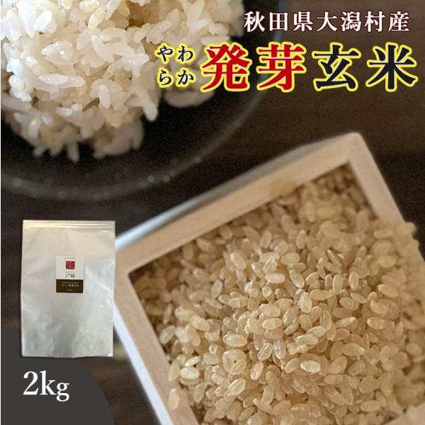 発芽玄米 無洗米 2kg 送料無料 (秋田県大潟村産 ミルキープリンセス100%) ダイエット GA...