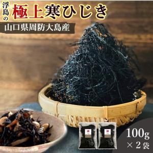 ひじき 乾燥 国産 100g 2袋セット   食物繊維 無添加 海藻 佃煮 つくだ煮 煮物 乾燥ひじき