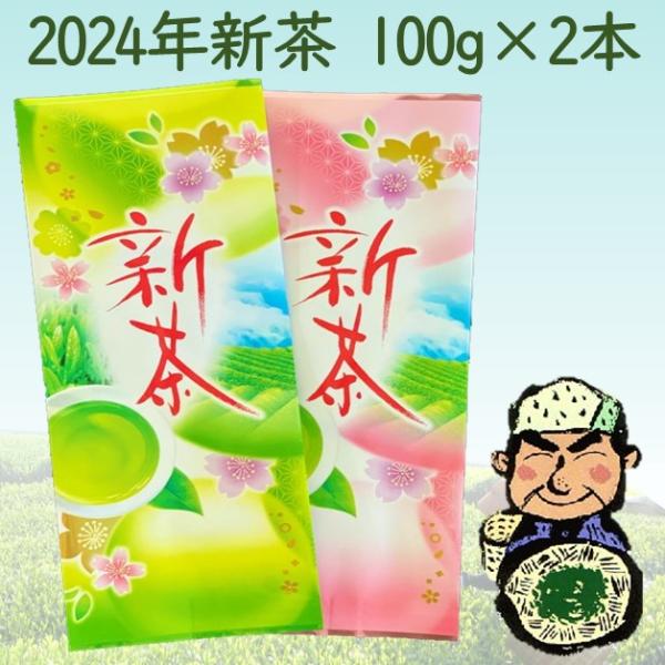 お茶 新茶 2024 100ｇ×２本 緑茶 日本茶 静岡県 深蒸し掛川茶　 