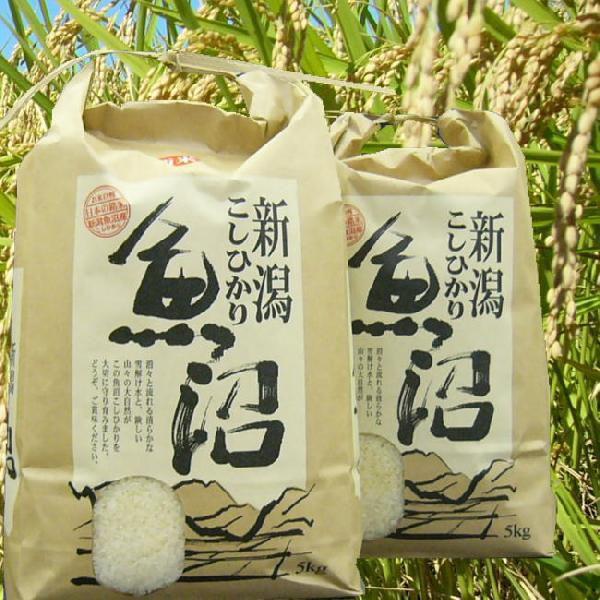 米 5kg 2023年産 魚沼産コシヒカリ 検査1等米 白米 当地 農家 旨い米