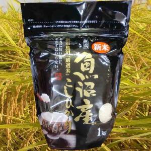 こがねもち もち米 30kg 玄米 魚沼産 令和7年産 最高級 餅米 76002