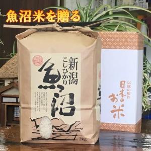 コシヒカリ 玄米 30kg 魚沼産コシヒカリ 特別栽培米 従来コシヒカリ