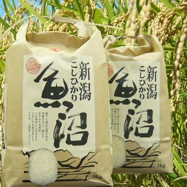 米 2kg 魚沼産 コシヒカリ 2023 特A 1等米 自慢の米