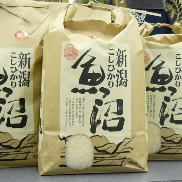 米 魚沼産コシヒカリ 10kg 2023年 特別栽培米 最高級 お米 新米
