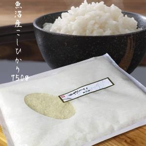 お米 送料無料 魚沼産 コシヒカリ【お試し1.05kg】7合...