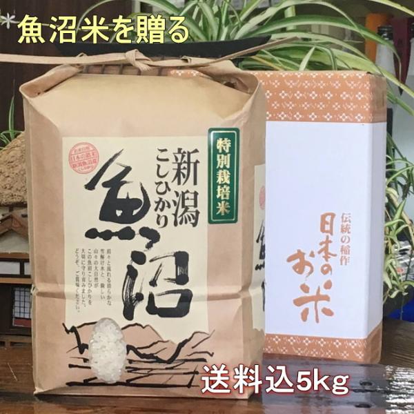 新米 5kg 魚沼産コシヒカリ 特別栽培米 特A 送料込 内祝い 箱入（最高級 米 令和5年）777...