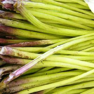 ふき フキ 山蕗 1kg 山菜 ふき 野蕗(山...の詳細画像2