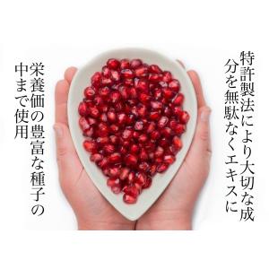 クィーンズザクロ スティック5包の詳細画像5