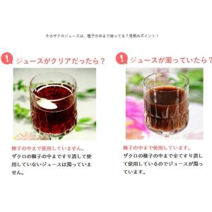 ≪期間限定特別キャンペーン3月16日月曜日まで...の詳細画像5
