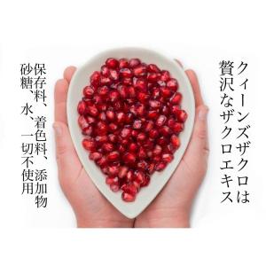 期間限定【8月30日まで】特許製法で種子たっぷ...の詳細画像4