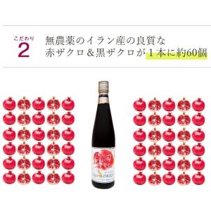 期間限定【8月30日まで】特許製法で種子たっぷ...の詳細画像3