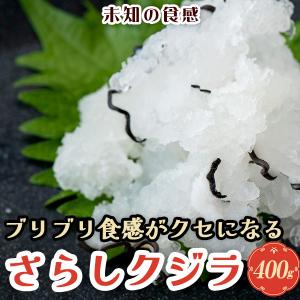 さらし鯨 さらしクジラ「食感がクセになるさらしクジラ 400g」オバイケ 尾羽 尾羽くじら くじら肉 鯨肉 オバケ 鯨 白身鯨 おばいけ 海鮮 爆買 お中元