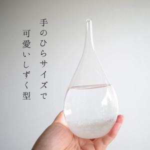 ストームグラス テンポドロップ ガラス天気予報ボトル ストーム瓶 気象予報器 結晶観察器 インテリア 贈り物 ガラス 小物 贈り物 LEDライト しずく型