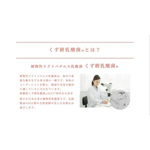 【飲む くず餅 乳酸菌 520g×8本】 飲み...の詳細画像5