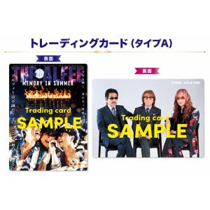 【タイプA】スポニチ THE ALFEE新聞 ...の詳細画像1