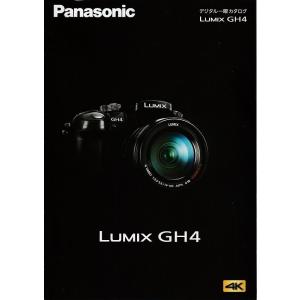 LUMIX Panasonic パナソニック GX1 の カタログ(未使用品) : 観龍堂