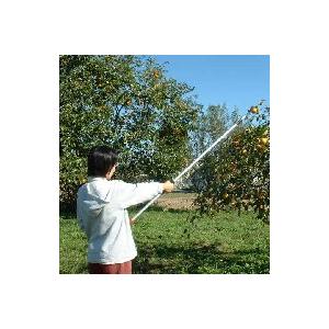 高枝切りバサミ 伸縮式 高枝切鋏