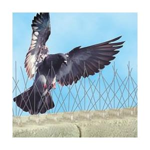 鳥よけグッズ ハト対策 バードスパイク