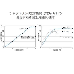 チャッポリン 10個セット ユスリカ チョウバ...の詳細画像2