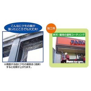 クモコナン(ガラスタイプ)1L 蜘蛛よけ 駆除 対策の詳細画像1