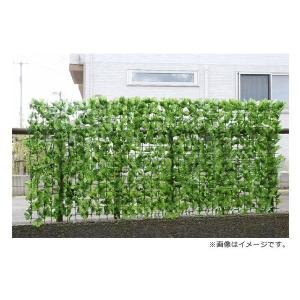 ベストベランダ 目隠し 植物 フェイク すべての美しい花の画像