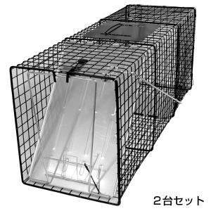 小動物捕獲機２台 動物 捕獲器 Lサイズ 30x79x33cm 小動物 猫用 踏板式 バネ式 アニマル