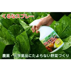 くるなスプレー 900ml 活力剤の詳細画像1