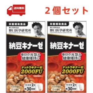 ２個セット【野口医学研究所】 納豆キナーゼ (240mg×60粒) 約30日分【栄養補助食品】｜kwry001-store