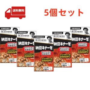 5個セット【野口医学研究所】 納豆キナーゼ (240mg×60粒) 約30日分【栄養補助食品】｜kwry001-store