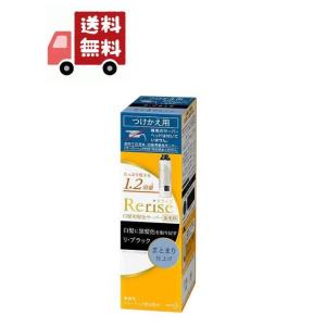 リライズ 白髪用髪色サーバー リ・ブラック まとまり仕上げ つけかえ専用(190g)[白髪隠し 女性用 男性用] （沖縄・離島不可）